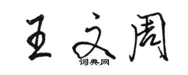 駱恆光王文周行書個性簽名怎么寫