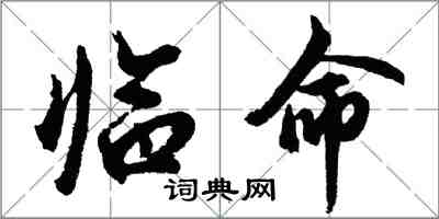 胡問遂臨命行書怎么寫