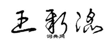 曾慶福王新滔草書個性簽名怎么寫