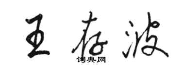 駱恆光王存波行書個性簽名怎么寫