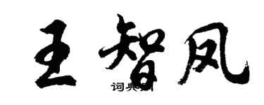 胡問遂王智鳳行書個性簽名怎么寫