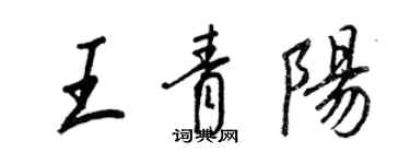 王正良王青陽行書個性簽名怎么寫