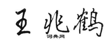 駱恆光王兆鶴行書個性簽名怎么寫