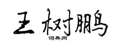 曾慶福王樹鵬行書個性簽名怎么寫