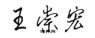 駱恆光王崇宏行書個性簽名怎么寫