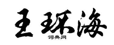 胡問遂王環海行書個性簽名怎么寫
