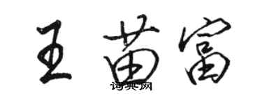 駱恆光王苗富行書個性簽名怎么寫