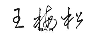 駱恆光王梅松草書個性簽名怎么寫
