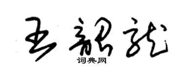 朱錫榮王韶龍草書個性簽名怎么寫