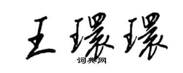 王正良王環環行書個性簽名怎么寫
