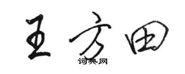 駱恆光王方田行書個性簽名怎么寫