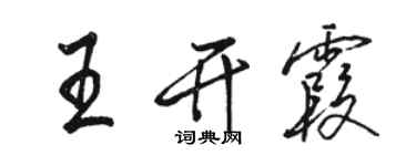 駱恆光王開霞行書個性簽名怎么寫