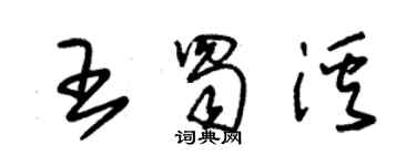 朱錫榮王蜀溪草書個性簽名怎么寫