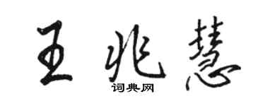 駱恆光王兆慧行書個性簽名怎么寫