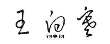 駱恆光王白寒草書個性簽名怎么寫