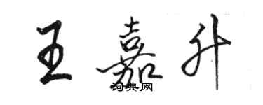 駱恆光王嘉升行書個性簽名怎么寫