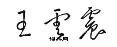 駱恆光王雲震草書個性簽名怎么寫