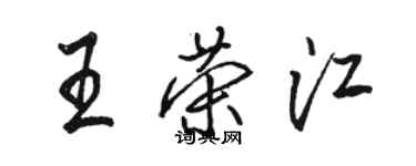 駱恆光王榮江行書個性簽名怎么寫