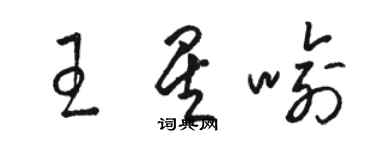 駱恆光王星喻草書個性簽名怎么寫