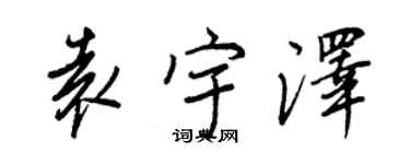 王正良袁宇澤行書個性簽名怎么寫