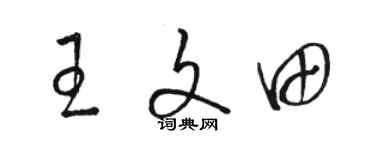 駱恆光王文田草書個性簽名怎么寫