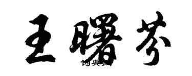 胡問遂王曙芬行書個性簽名怎么寫