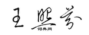 駱恆光王照芬草書個性簽名怎么寫