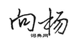 駱恆光向楊行書個性簽名怎么寫