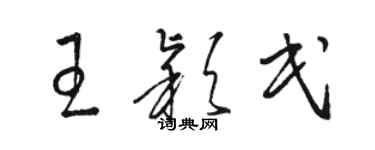 駱恆光王穎民草書個性簽名怎么寫