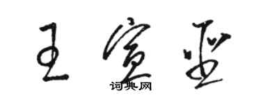 駱恆光王宣聖草書個性簽名怎么寫