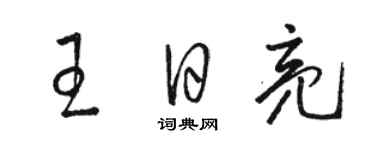 駱恆光王日亮草書個性簽名怎么寫