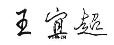 駱恆光王宜超行書個性簽名怎么寫