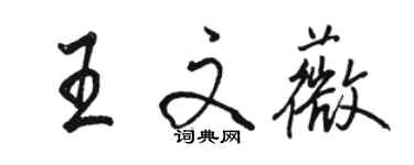 駱恆光王文薇行書個性簽名怎么寫