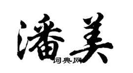 胡問遂潘美行書個性簽名怎么寫