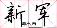 新軍怎么寫好看
