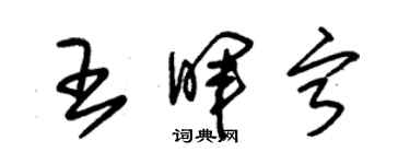 朱錫榮王暉寧草書個性簽名怎么寫