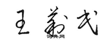 駱恆光王莉民草書個性簽名怎么寫