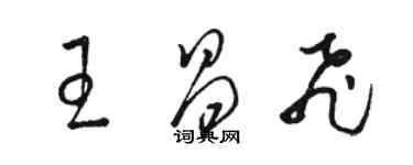 駱恆光王昌飛草書個性簽名怎么寫