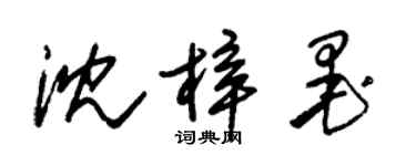 朱錫榮沈梓墨草書個性簽名怎么寫