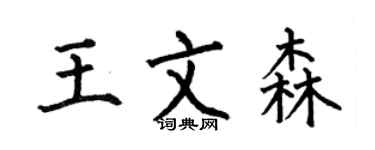 何伯昌王文森楷書個性簽名怎么寫