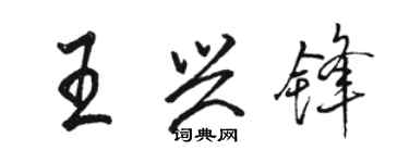 駱恆光王興鋒行書個性簽名怎么寫