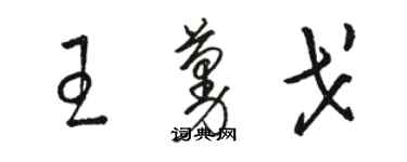 駱恆光王蔓戈草書個性簽名怎么寫