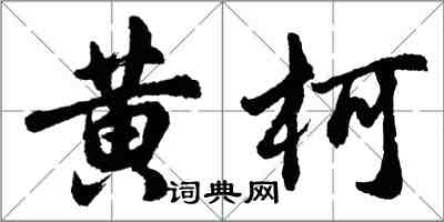 胡問遂黃柯行書怎么寫