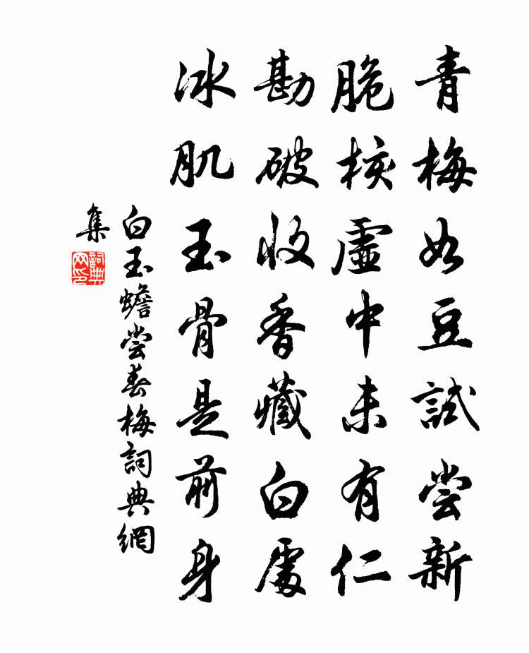 白玉蟾嘗春梅書法作品欣賞