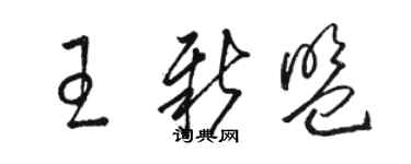 駱恆光王新盟草書個性簽名怎么寫