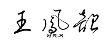 梁錦英王鳳韶草書個性簽名怎么寫