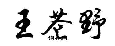 胡問遂王蒼野行書個性簽名怎么寫