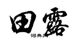 胡問遂田露行書個性簽名怎么寫