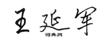 駱恆光王延軍行書個性簽名怎么寫