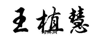 胡問遂王植慧行書個性簽名怎么寫